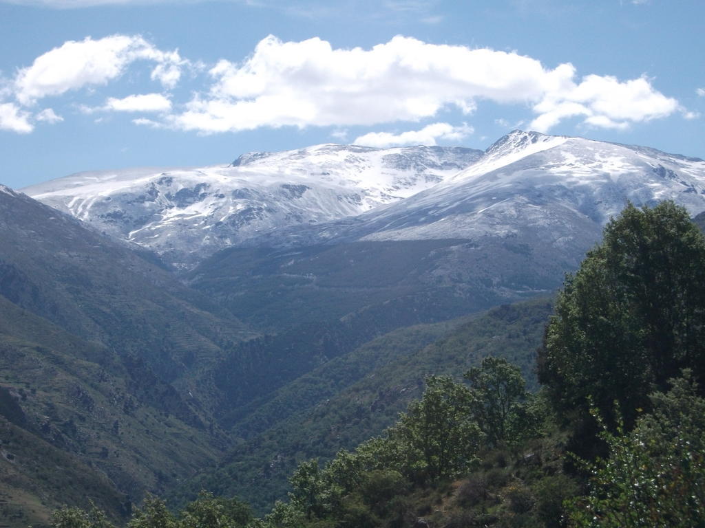 Apartamentos Sierra Nevada Welcome Ruang foto
